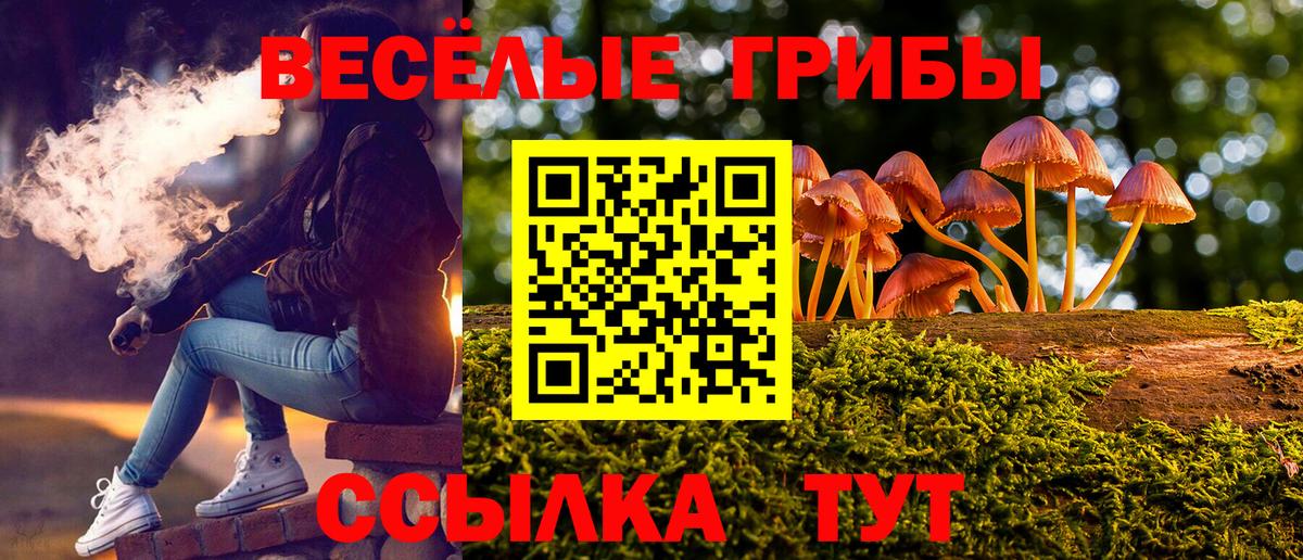 Псилоцибиновые грибы GOLDEN TEACHER  Вход с VPN  Псилоцибиновые грибы прущие грибы  Белебей 